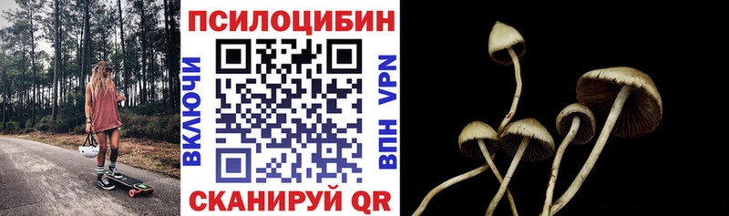 купить закладку  omg зеркало  Галлюциногенные грибы Magic Shrooms  Выкса 